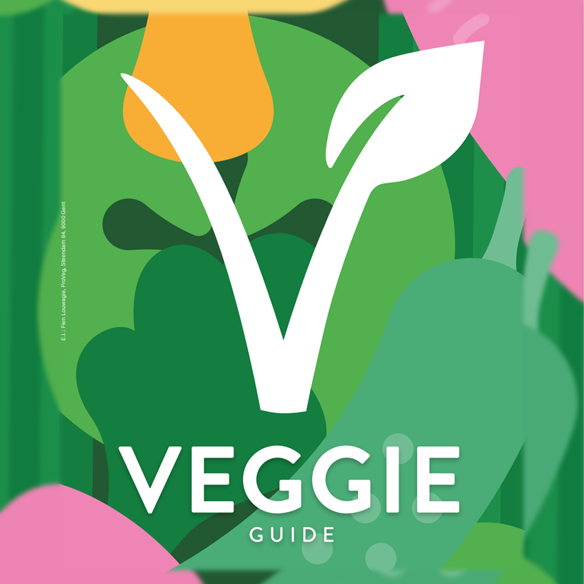 Een afbeelding met een witte V en een blad op een groene achtergrond, met abstracte groentevormen. De tekst luidt: VEGGIE GUIDE – je onmisbare gids voor een dagelijkse vegetarische levensstijl.