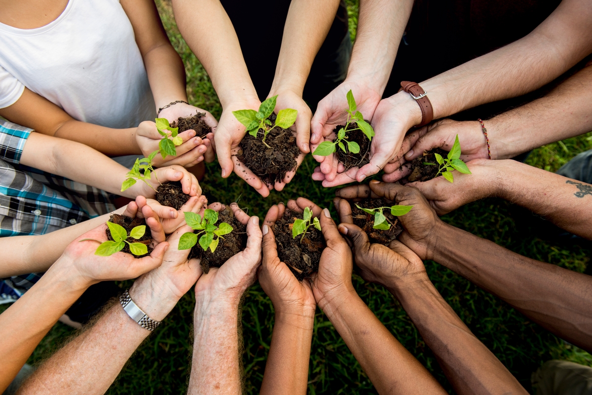 Un grupo de manos diversas, cada una de las cuales sostiene un pequeño plantón verde con tierra, se reúnen al aire libre, simbolizando la unidad, el crecimiento y el cuidado del medio ambiente.