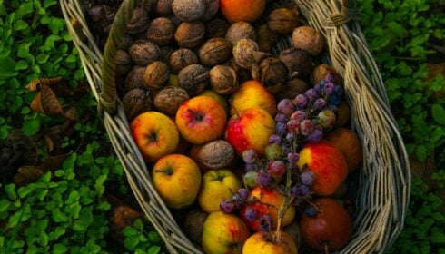 Uma cesta cheia de maçãs, nozes, uvas vermelhas e peras está sobre a grama verde, com folhas espalhadas ao redor.