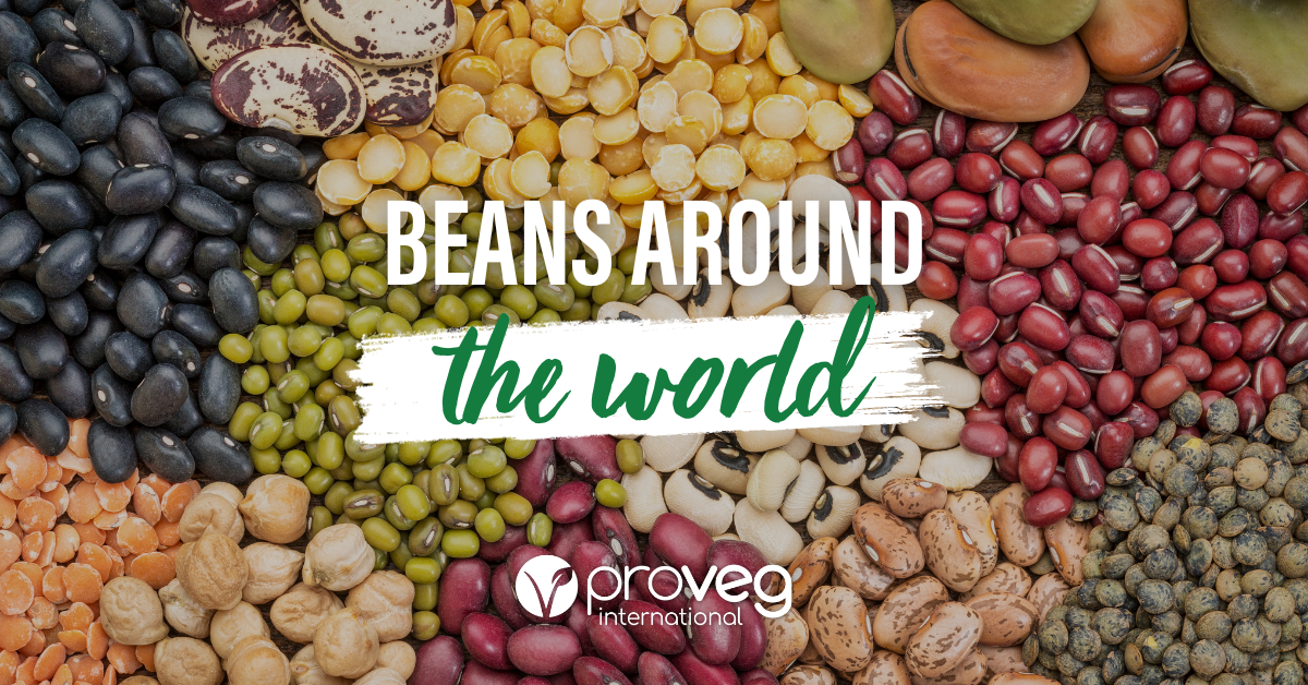 Beans around the world Blog