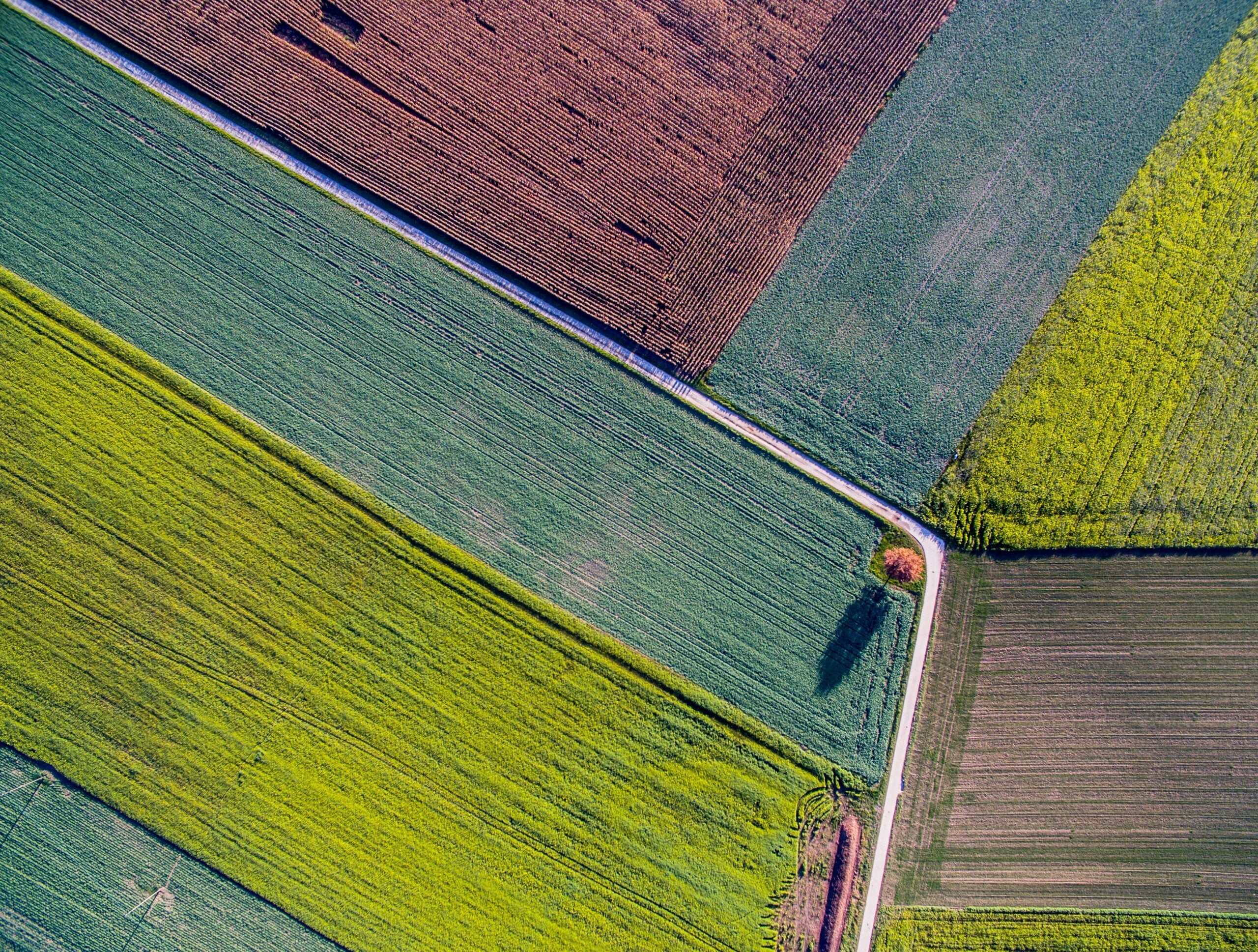 Future Fit Farming: Policy solutions for diverse, resilient ...