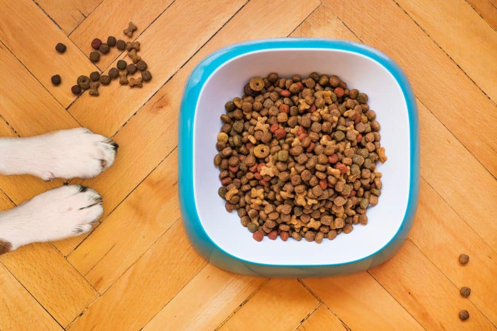 A blue bowl filled with dry dog food sits on a wooden floor, with some kibble scattered nearby and two dog paws visible to the left.