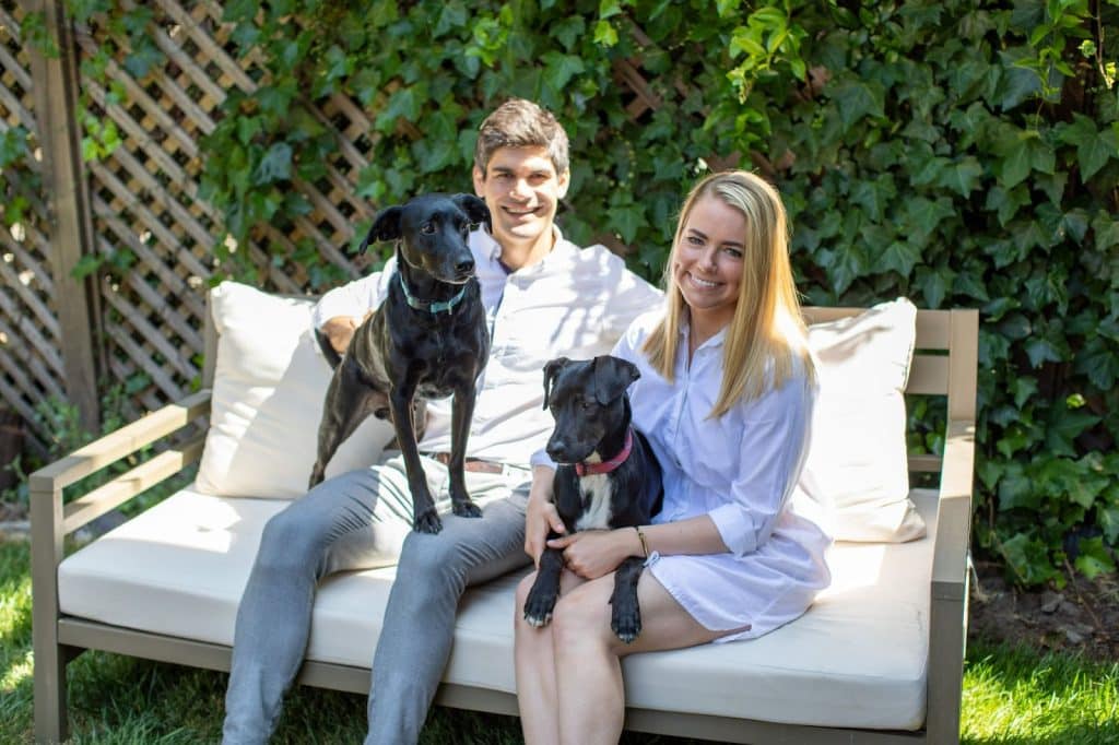 petaluma: attracting flexitarian consumers with plant-based dog food